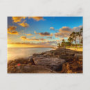 Recherche de palm beach cartes postales Sand