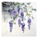 Recherche de bactérie posters Glycine
