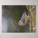 Recherche de gary art Faune
