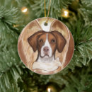 Recherche de epagneul breton maison deco Noël