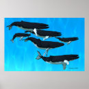Recherche de baleine bosse art Animal