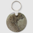 Zoek naar cheetah sleutelhangers Wild