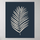 Recherche de feuille palmier posters Frondes de palmier