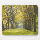 Recherche de central park tapis souris Nature