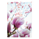 Zoek naar macro kunst Roze