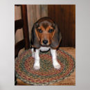 Recherche de puppy posters Animaux