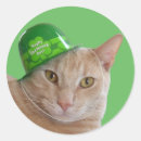 Recherche de tête de chat autocollants Minou