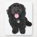 Recherche de petits chiens tapis souris Noir