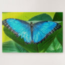 Recherche de morpho puzzles Papillon