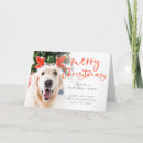 Zoek naar dierenvriend kaarten Kerstmis