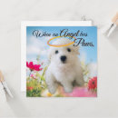 Recherche de ange chien vœux cartes Cœur