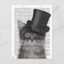 Recherche de chat gris cartes postales Chats mignons