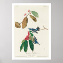 Recherche de azure posters Oiseau
