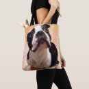 Recherche de boston terrier accessoires Canin