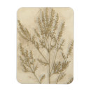 Recherche de bronzage magnets Feuillage