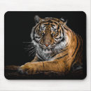 Recherche de tigre tapis souris Beau