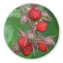 Recherche de framboise boutons et poignées de porte Cuisine