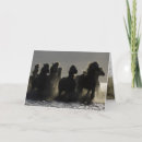 Zoek naar iii kaarten Paarden