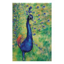 Zoek naar oranje vogel posters Dieren