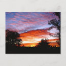 Recherche de lit mort cartes postales Animal