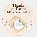 Zoek naar het in dozen doen stickers Kat