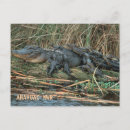 Recherche de maman de cartes postales Nature