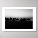 Recherche de arbre photographie Ciel