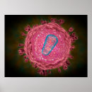 Recherche de microbiologie posters Biomolécule