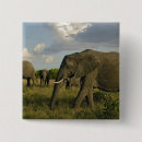 Recherche de l afrique badges Kenya