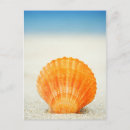 Zoek naar schelpen briefkaarten Zand