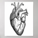 Zoek naar anatomie vintage posters Student geneeskunde