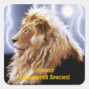 Recherche de gros chat autocollants Lions
