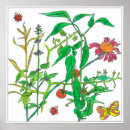 Recherche de dessin de coccinelle posters Pour tous