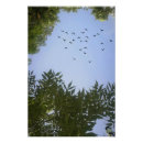 Recherche de oiseaux bleus posters Arbre