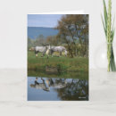 Recherche de deux chevaux vœux cartes Bob langrish