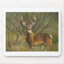 Recherche de whitetail électronique Nature