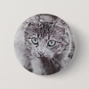Recherche de bleu lumineux badges Chaton
