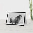 Recherche de mustang vœux cartes Chevaux sauvages