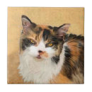 Recherche de cat carreaux Calico
