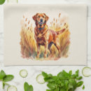 Recherche de labrador retriever cuisine linges Amoureux des chiens