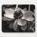 Zoek naar photography muismatten Bloem