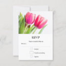 Recherche de rose de tulipe photographie Jardin