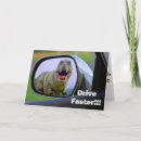 Zoek naar funny dinosaur kaarten Dinosaurus