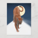 Recherche de chat neige cartes postales Gros chats