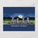 Zoek naar wilde wolven briefkaarten Landschap