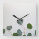 Recherche de eucalyptus horloges Nature