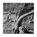 Recherche de arbre noir carreaux Noir et blanc