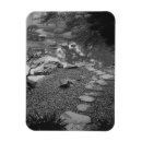 Recherche de détail magnets Blanc