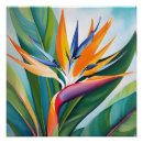 Recherche de oiseau du paradis posters Plante