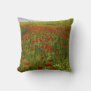 Recherche de pavot coussins Illustration